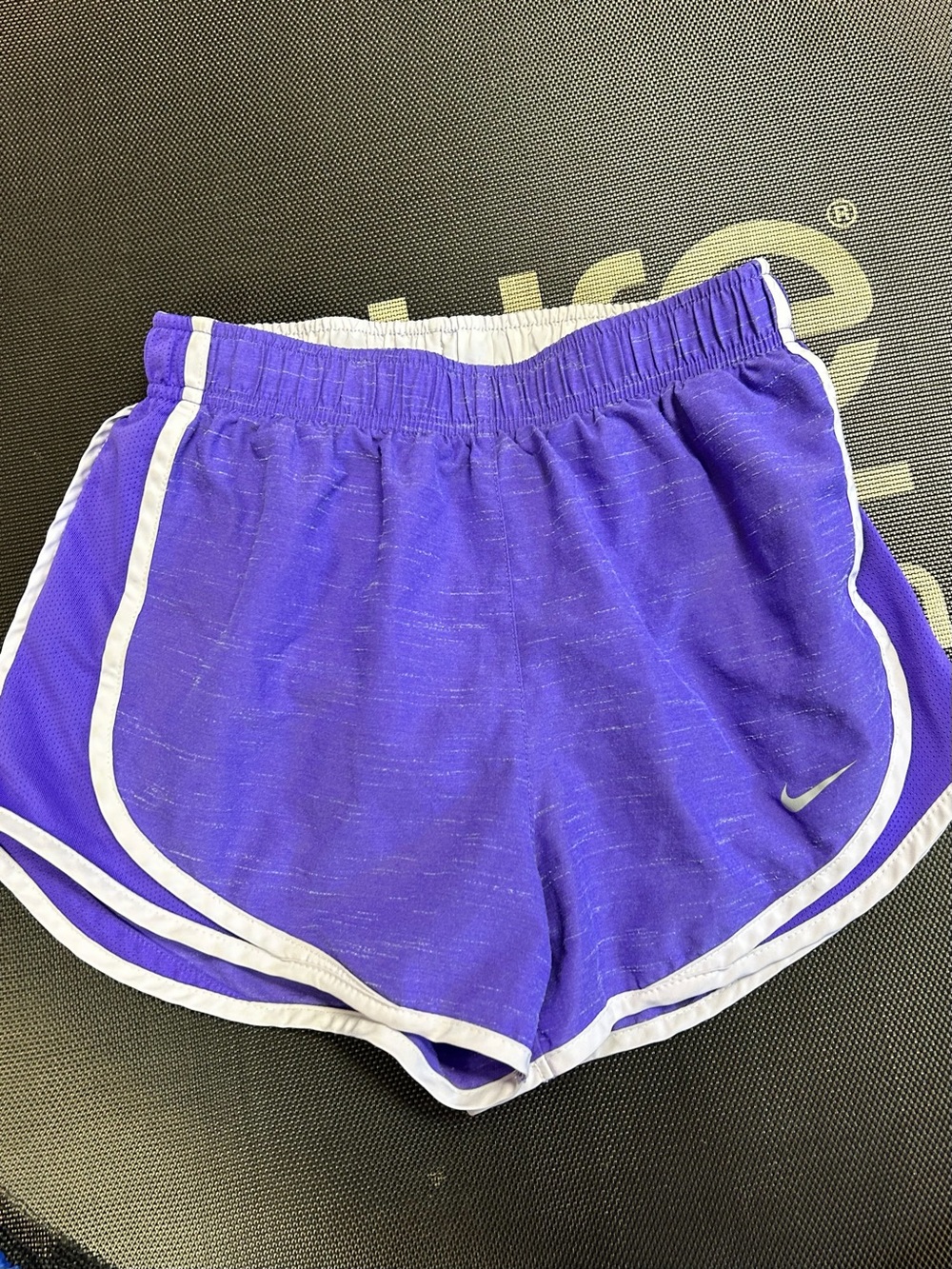 Nike Women’s Purple Running Shorts with White Trim